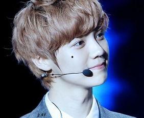 鹿晗爆料韩国人视频大全,韩国人视频大全背后的真实故事 第1张 鹿晗爆料韩国人视频大全,韩国人视频大全背后的真实故事 第1张