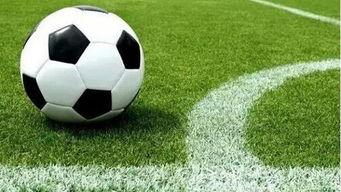 皮皮虾足球爆料视频大全,揭秘精彩瞬间与幕后故事  第3张